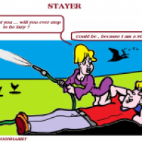 Stayer