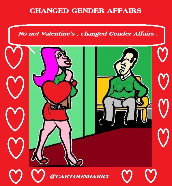 Cartoon: Changed Gender Affairs 1