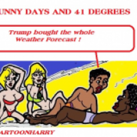 Trump Weather Forecast
