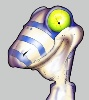 stripygecko