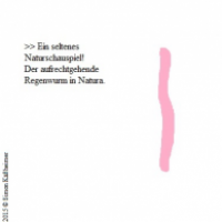 Regenwurm
