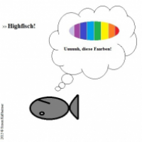 Highfisch