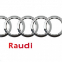 Raudilogo