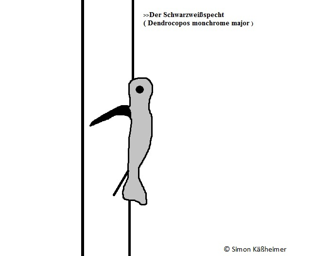 Cartoon: Der Monchromespecht 1