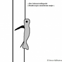 Der Monchromespecht