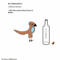 Das Blaukehlchen