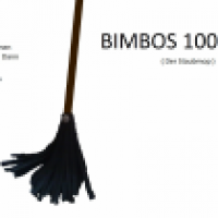 BIMBOS 1000 der Staubmop