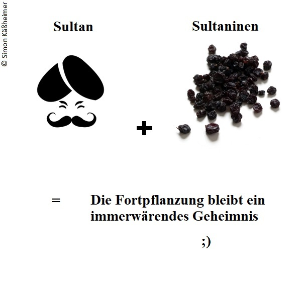 Other: Von Sultan und ... *hui* 1