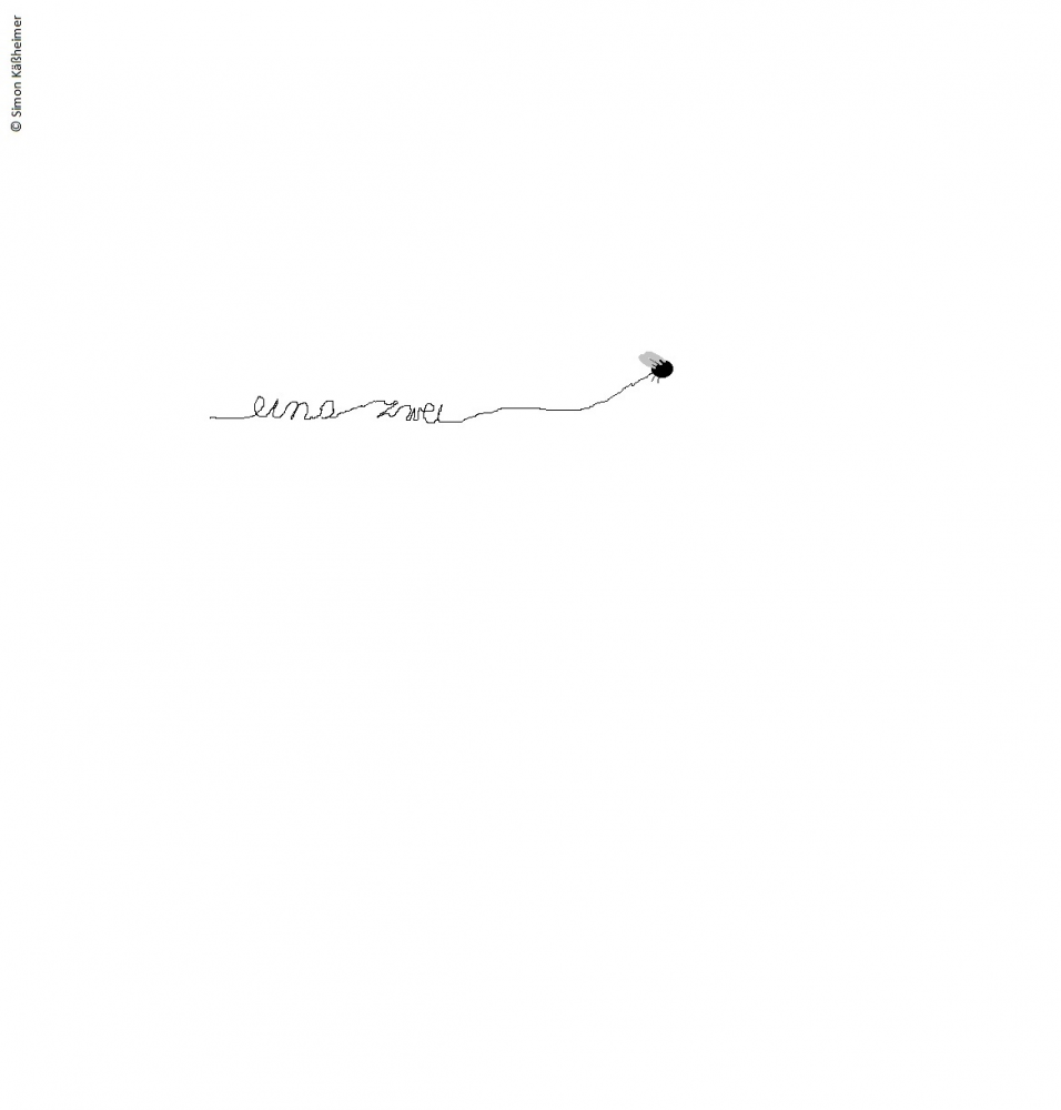 Anderes: Fly me to ... 1
