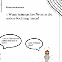 Weberknechtsterben dank Dr. Müffi