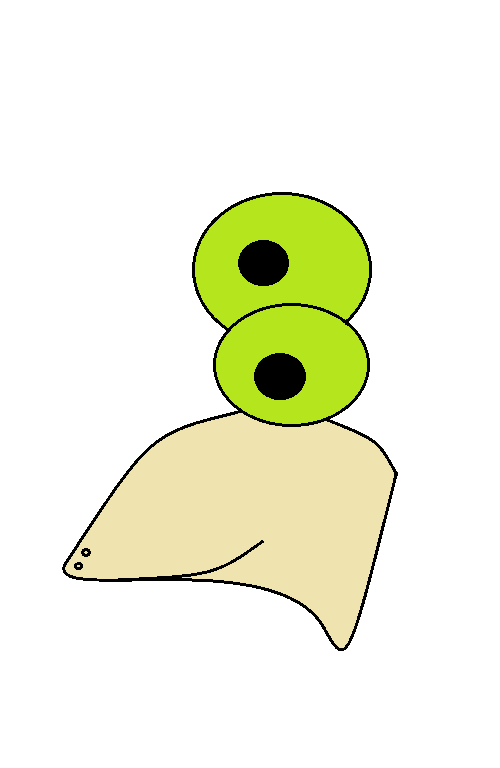 Concept Art / Character Design: Proportionstest 1