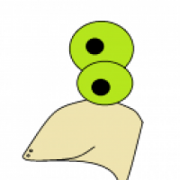 Proportionstest