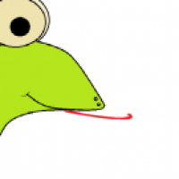 Froschskizze