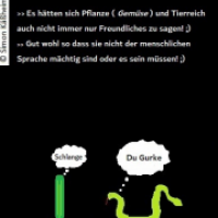 Verhinderter Zoff vs. ...