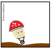 Sporen