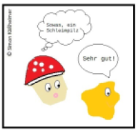 Schleimer!