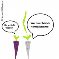 Rettichshootout