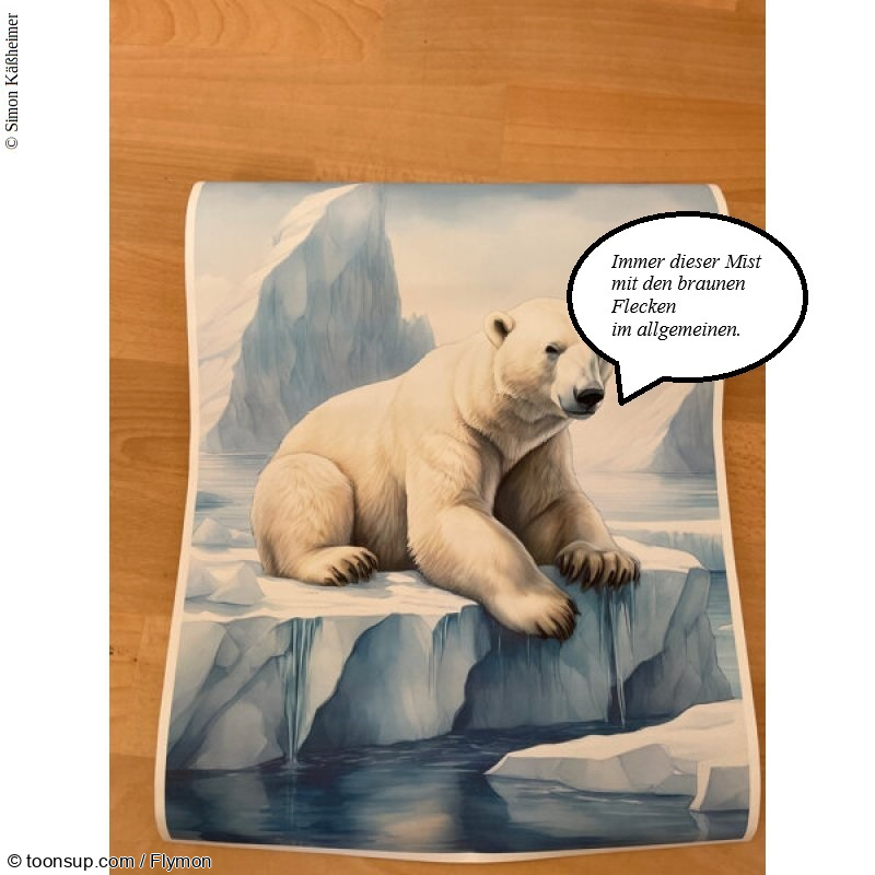 Other: Ohh Eisbär ... 1