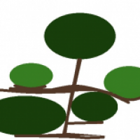 Versuchsentwurf Bonsaibusch/-baum