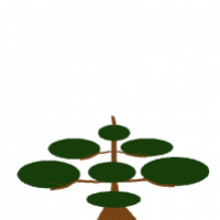 Bonsai