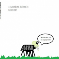 Arme Ameise welche - bespuckt im Felde!