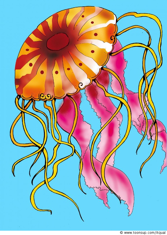 Illustration: Jellyfish 1