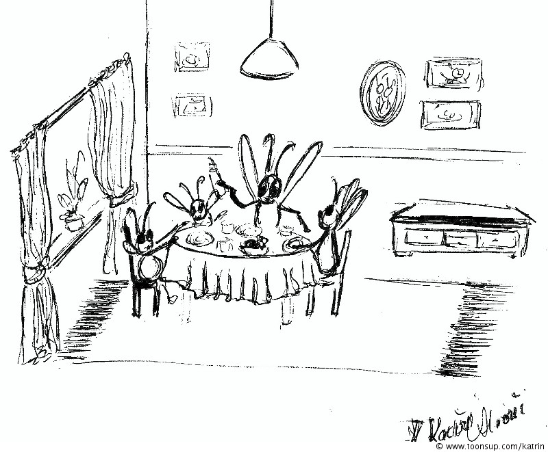 Illustration: Stuben Fliegen - Houseflies - Vouler d`maisom 1