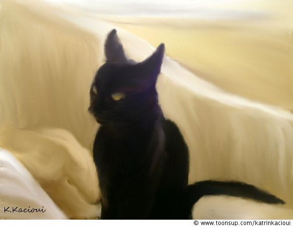 Illustration: Not KiteKat it`s Schnucki 1