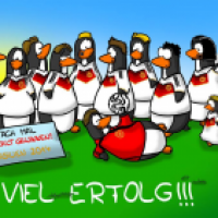 WM 2014