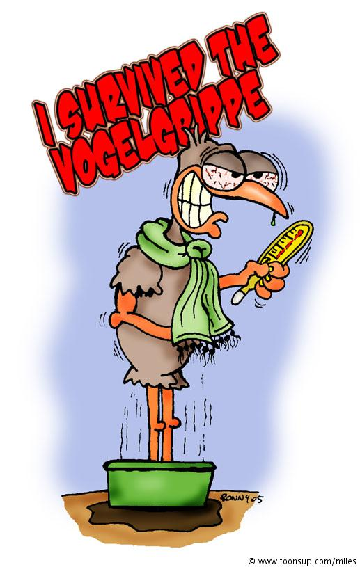 Illustration: Vogelgrippe 1