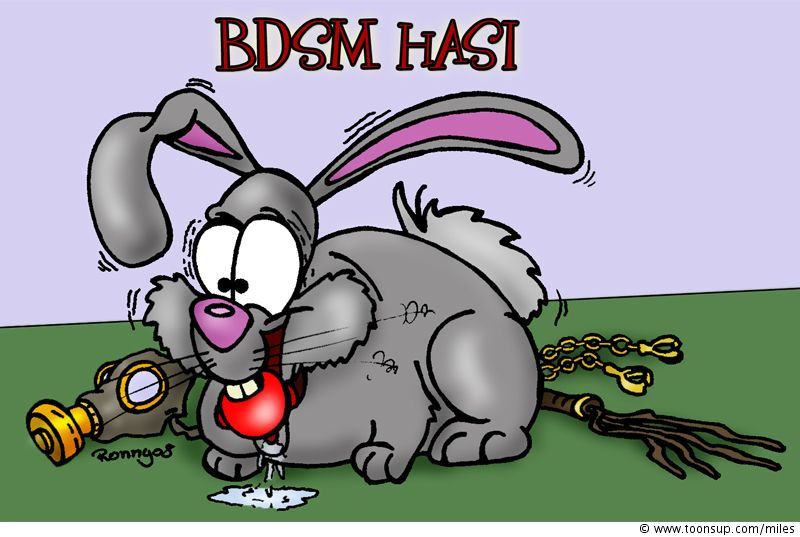 Cartoon: BDSM Hasi 1