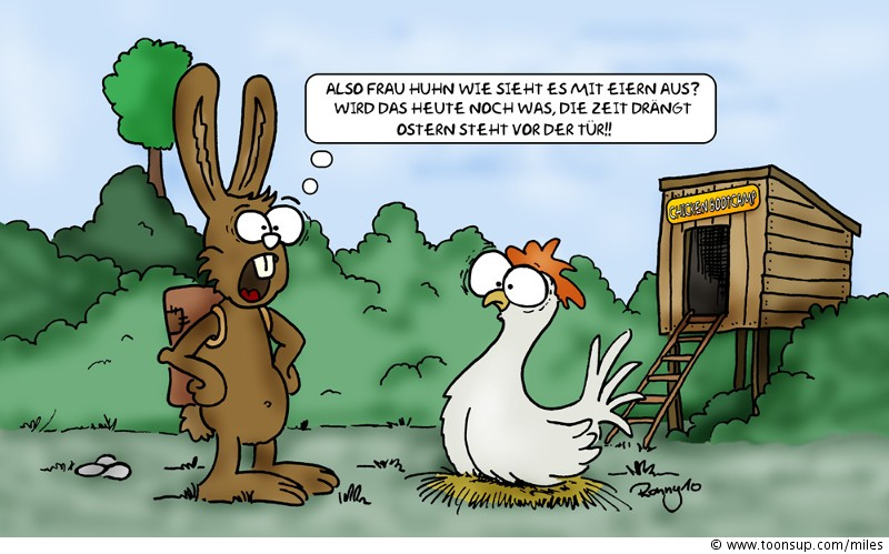 Cartoon: Chicken Bootcamp 1