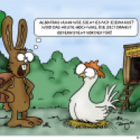 Chicken Bootcamp