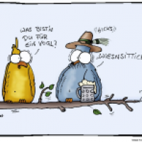 Wies´nssittich
