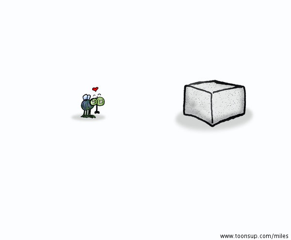 Cartoon: Gib der Fliege Zucker 1