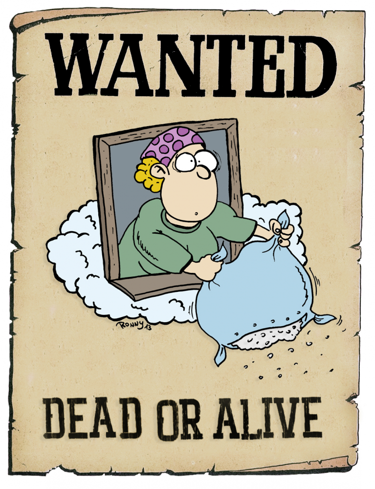 Cartoon: Frau Holle Wanted 1