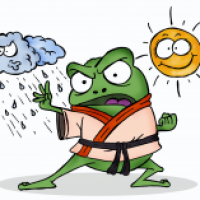 Wetterfrosch