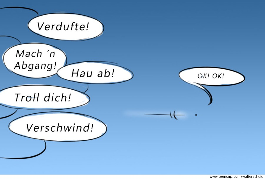Picture Puzzle: Ratebilder 1
