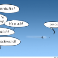 Ratebilder