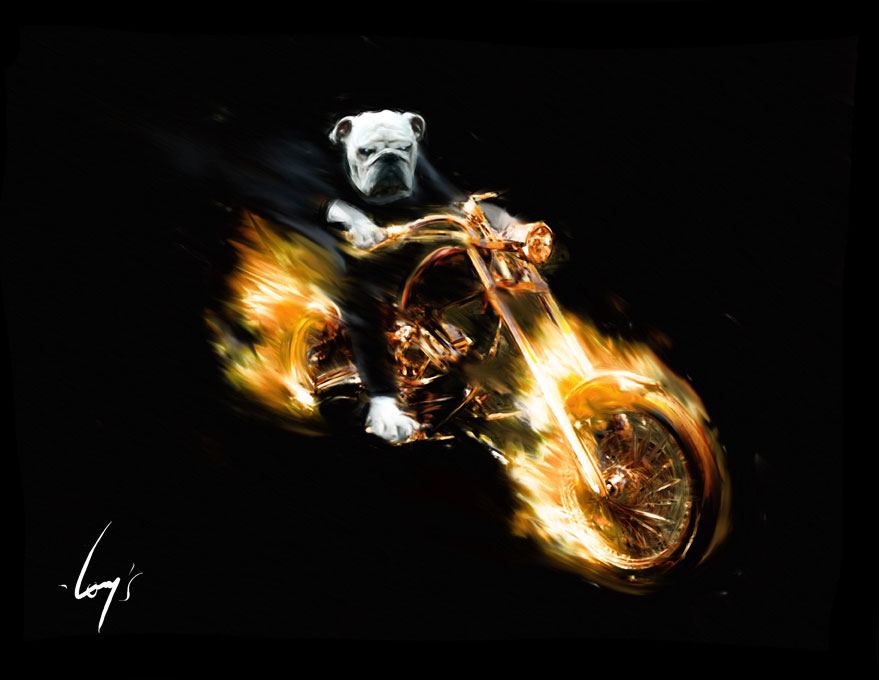 Illustration: Ghost-Dog 1
