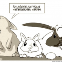 Kaninchen