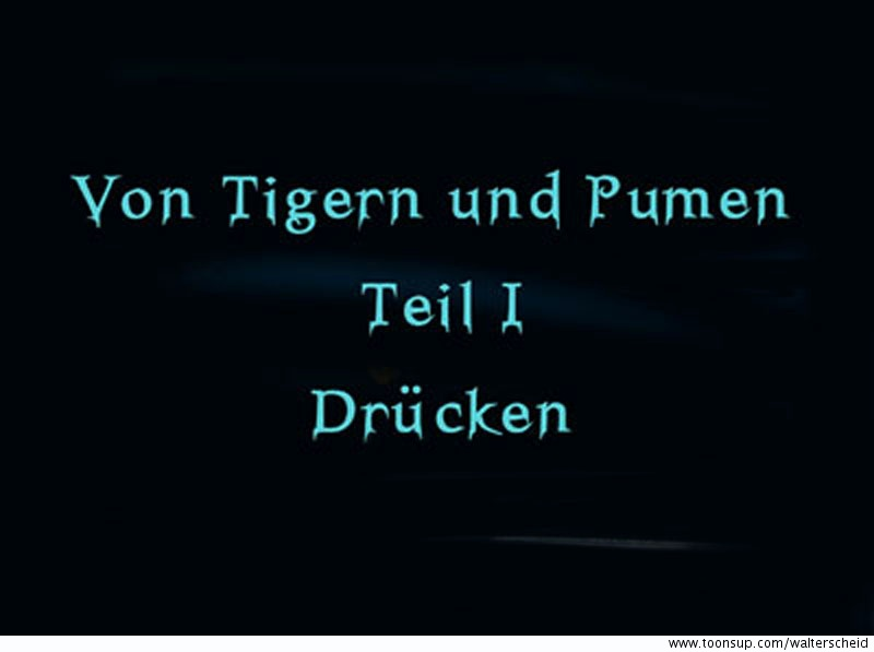 Comic: Wie alles begann oder von Tigern und Pumen 1
