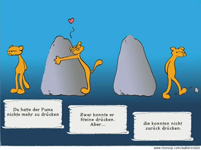 Comic: Wie alles begann oder von Tigern und Pumen 5