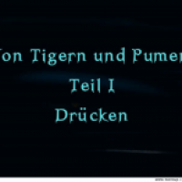 Wie alles begann oder von Tigern und Pumen