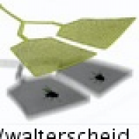 Zwei Fliegen