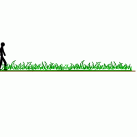 Ball Animation