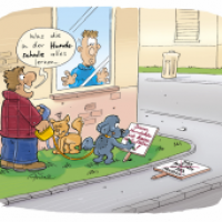 Schlaue Hunde