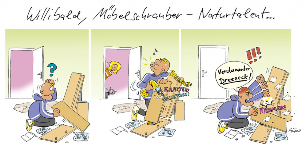 Cartoon: Neulich nach dem Ikea-Einkauf 1