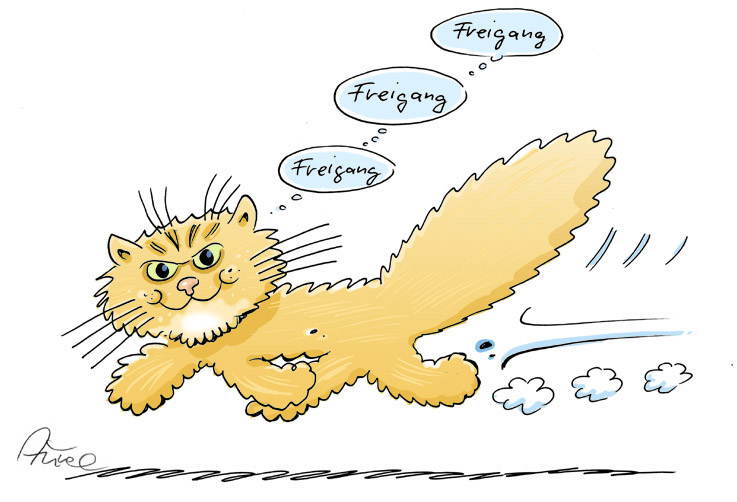 Illustration: Perserdame Foxi 1