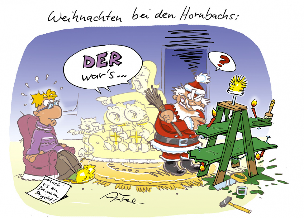 Cartoon: Der echte Schwabe baut selbst! 1